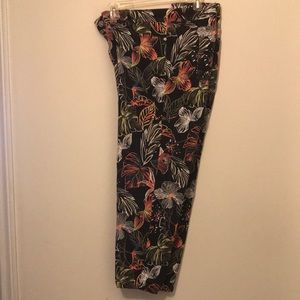 Women’s plus size stretch denim jeans